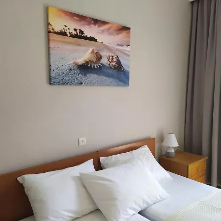 Sofia's Garden 리메나리아