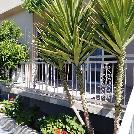 Sofia's Garden