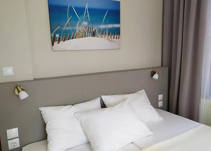 Sofia's Garden 리메나리아