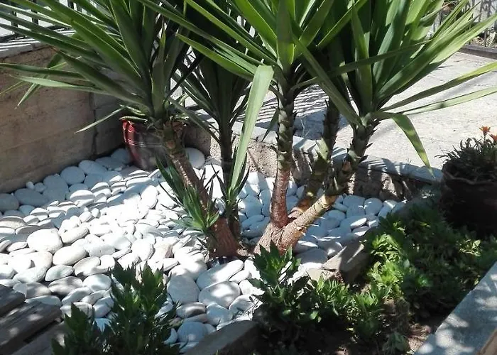 Sofia's Garden 아파트 리메나리아